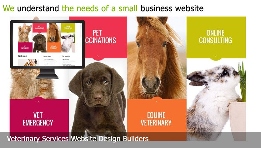veterinarian web design template site builder